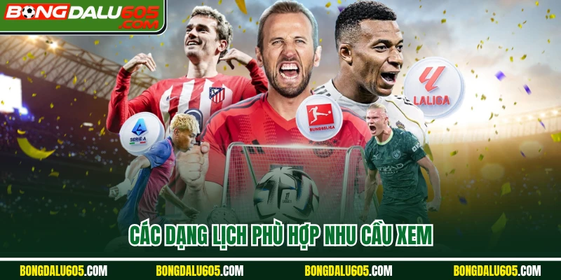 Các dạng lịch phù hợp nhu cầu xem