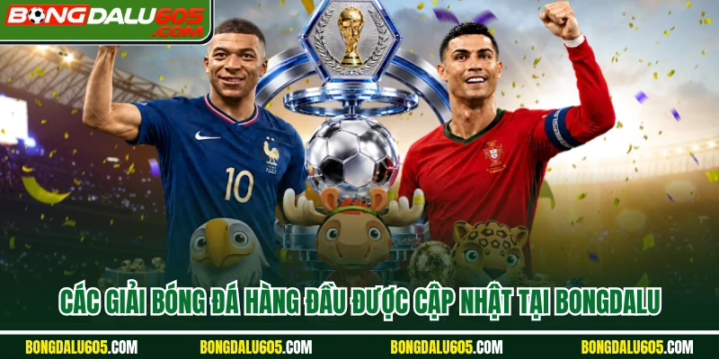Các giải bóng đá hàng đầu được cập nhật tại Bongdalu