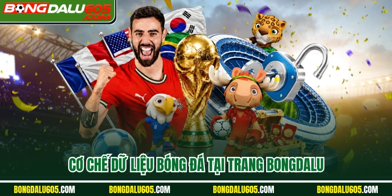 Cơ chế dữ liệu bóng đá tại trang Bongdalu
