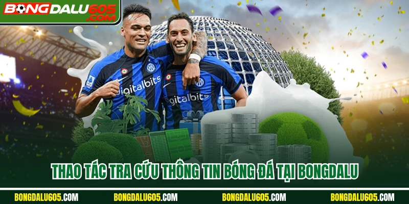 Thao tác tra cứu thông tin bóng đá tại Bongdalu 